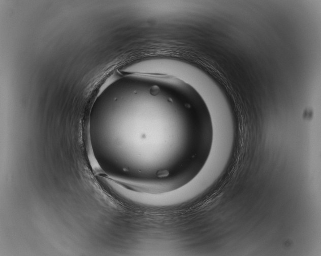 X0000115270729200911201728