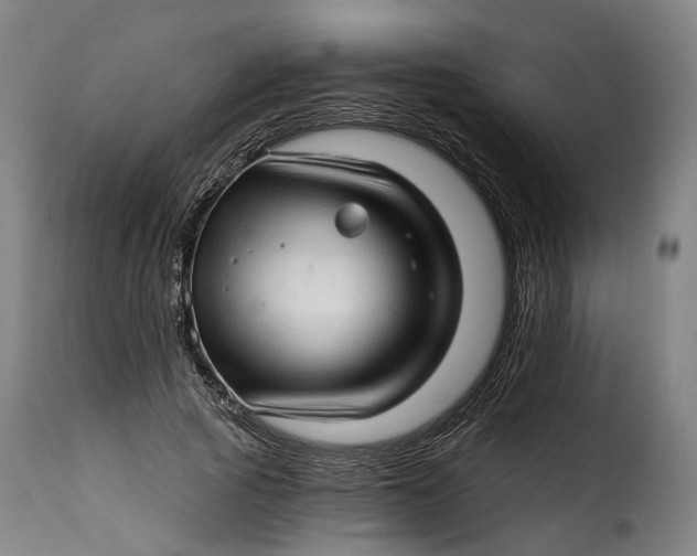 X0000115270737200911201728