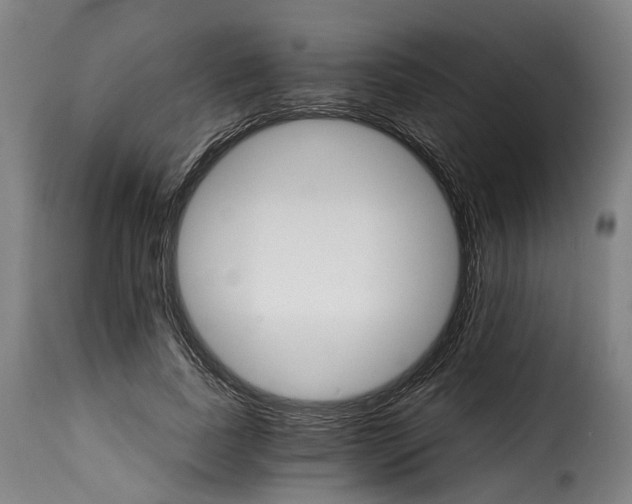 X0000115270739200911201728