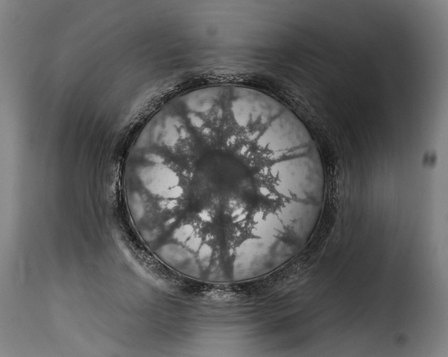 X0000115270742200911201728