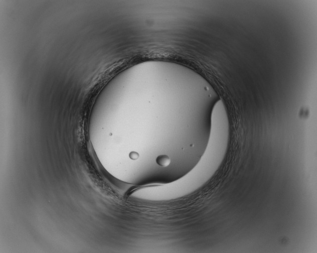 X0000115270743200911201728