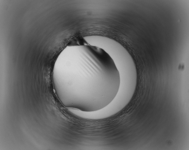 X0000115270745200911201728