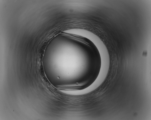 X0000115270749200911201728