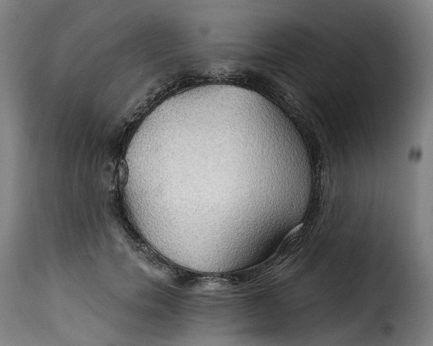 X0000115270750200911201728
