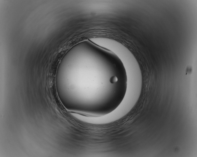 X0000115270751200911201728