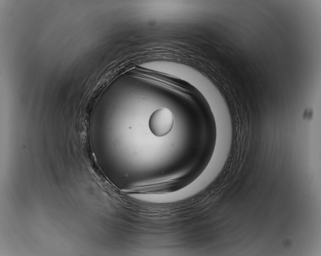X0000115270753200911201728
