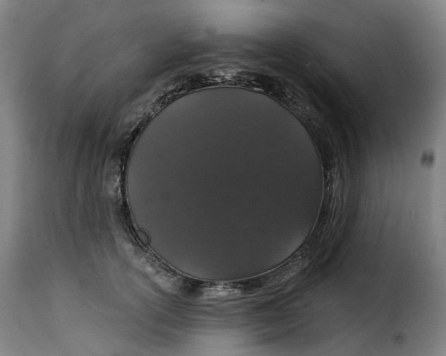X0000115270754200911201728