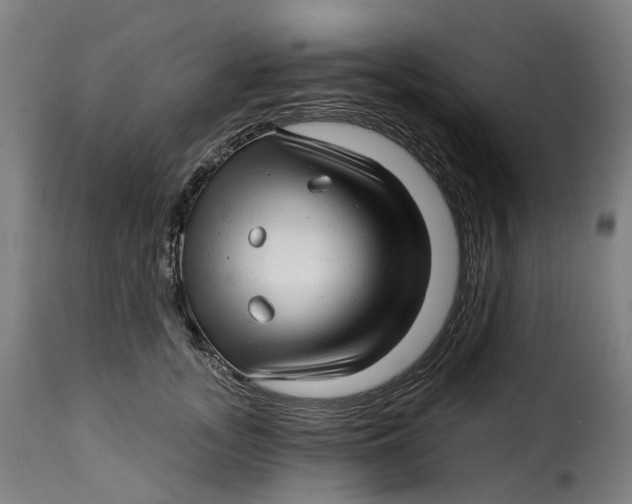 X0000115270755200911201728