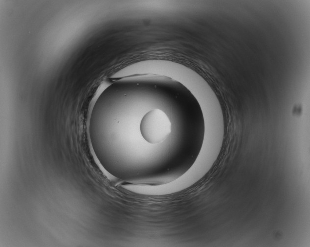 X0000115270761200911201729