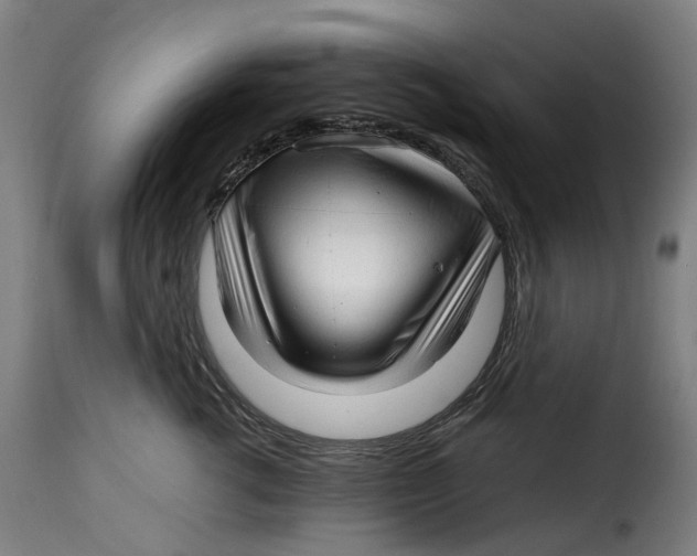X0000115270762200911201729