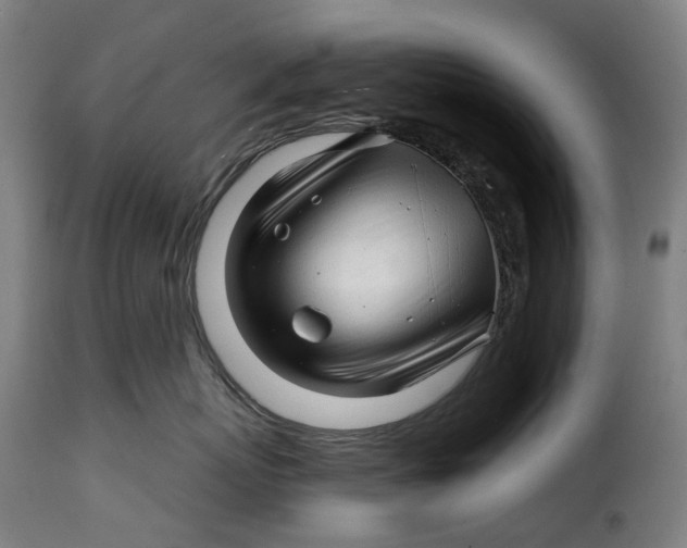 X0000115270767200911201729