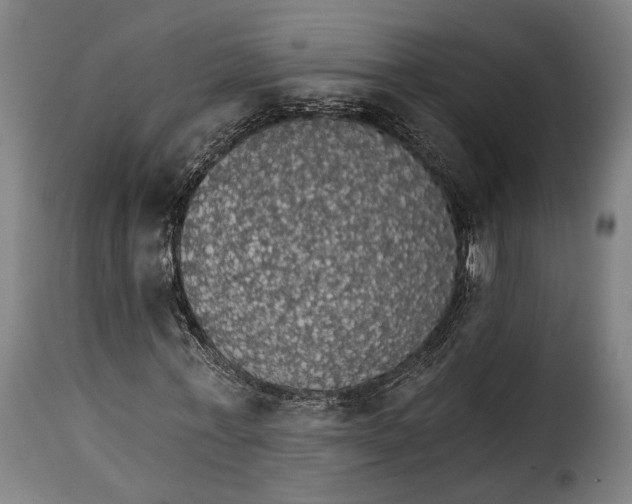 X0000115270771200911201728