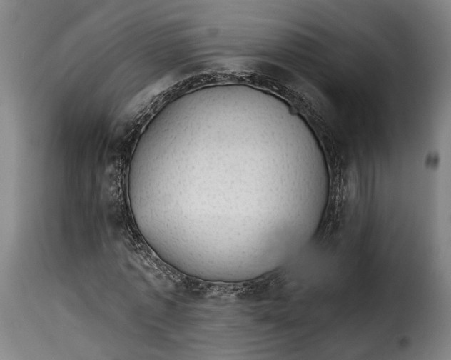 X0000115270773200911201728