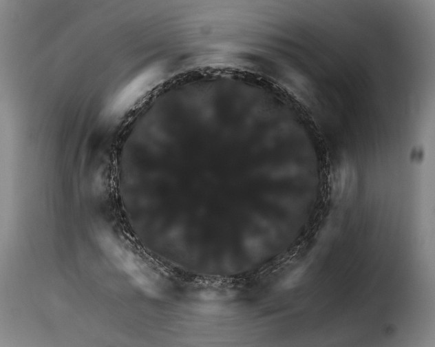 X0000115270775200911201728