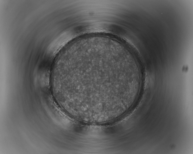 X0000115270777200911201728