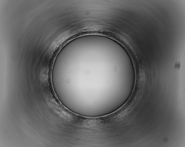 X0000115270778200911201728