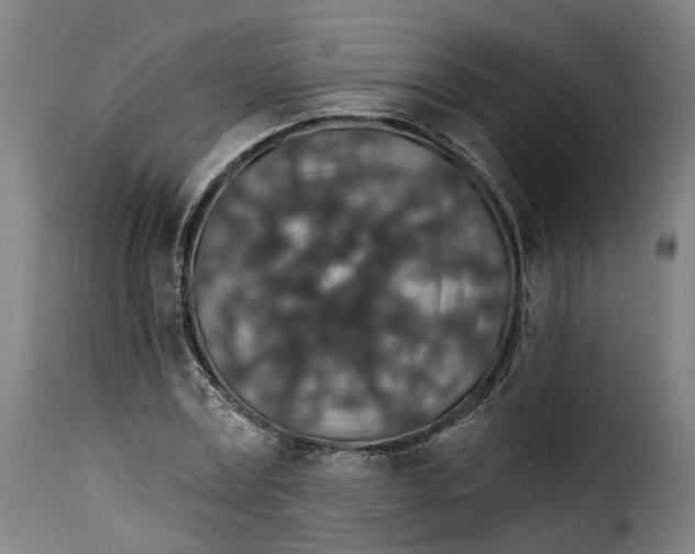 X0000115270779200911201728
