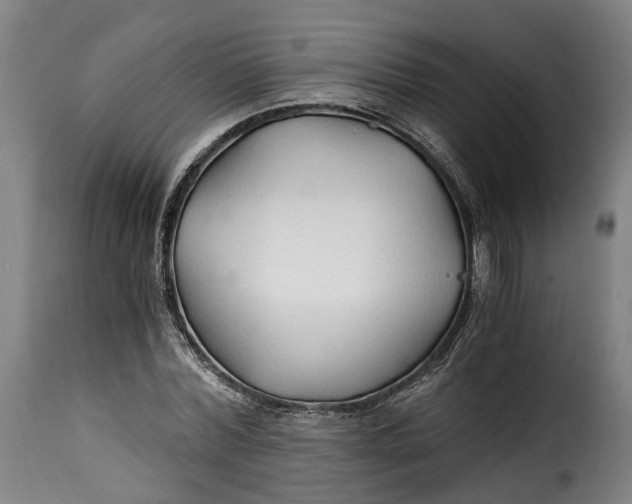 X0000115270780200911201728
