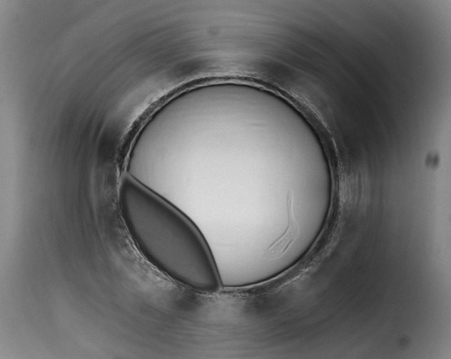 X0000115270781200911201728