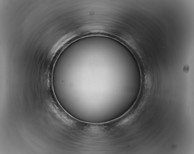 X0000115270782200911201728
