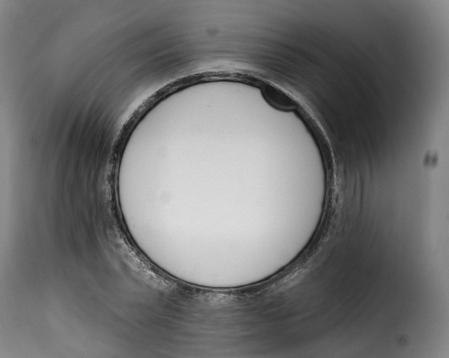 X0000115270783200911201728