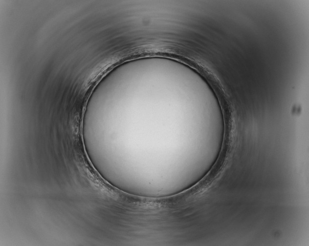 X0000115270785200911201728