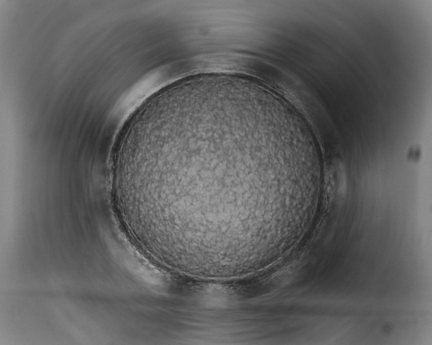 X0000115270787200911201728