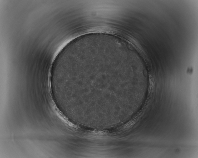 X0000115270788200911201728