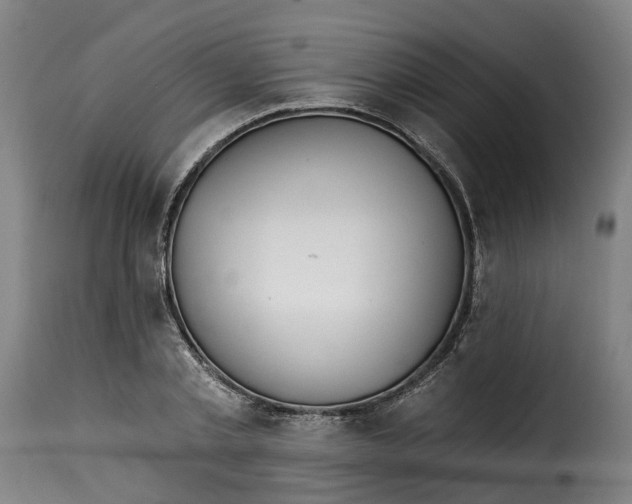 X0000115270789200911201728