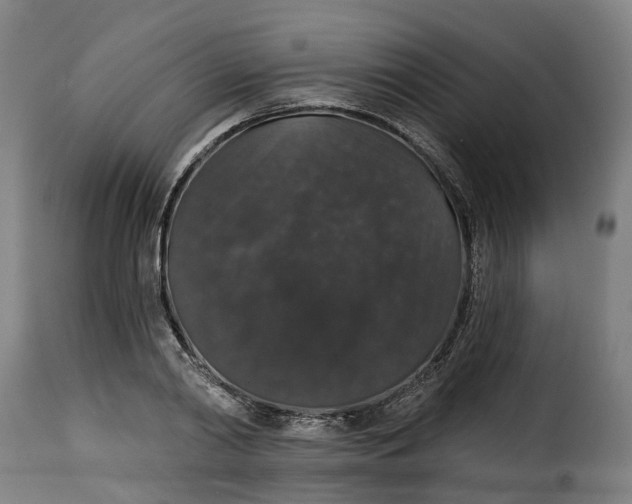 X0000115270790200911201728