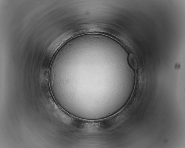 X0000115270793200911201727
