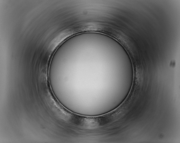 X0000115270794200911201727