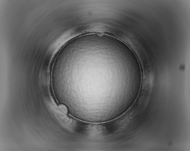 X0000115270795200911201727