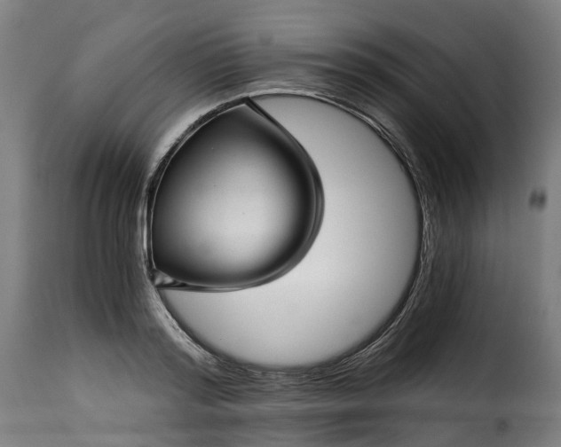X0000115270796200911201727