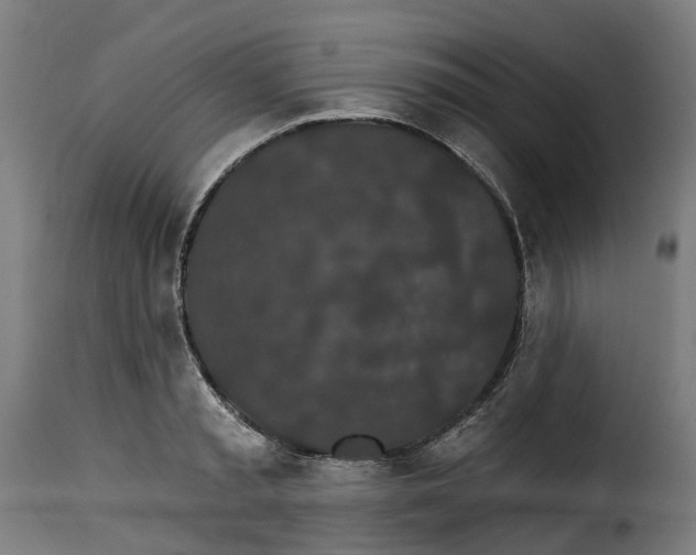 X0000115270797200911201727