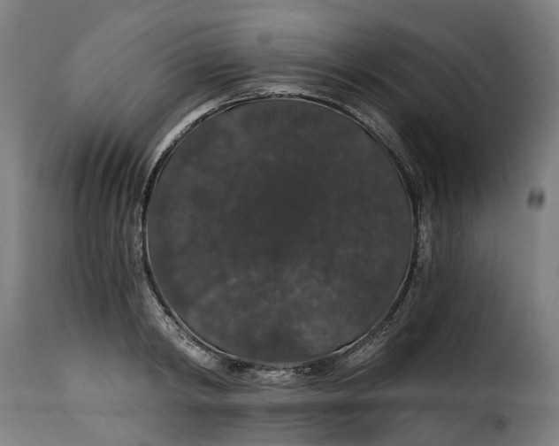 X0000115270798200911201727