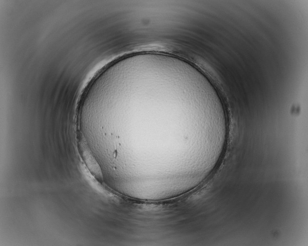 X0000115270800200911201727