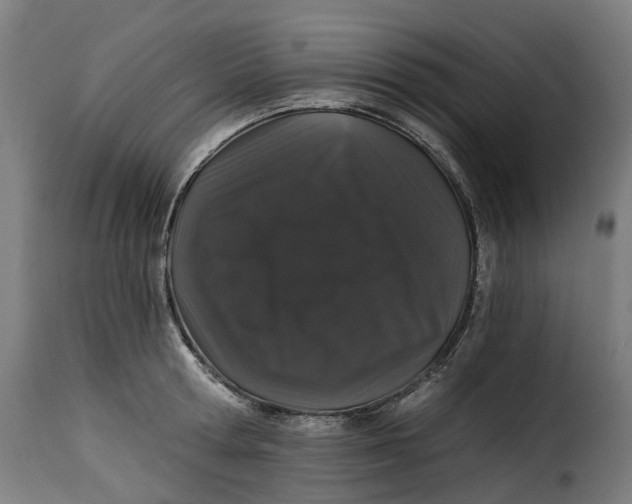 X0000115270802200911201727