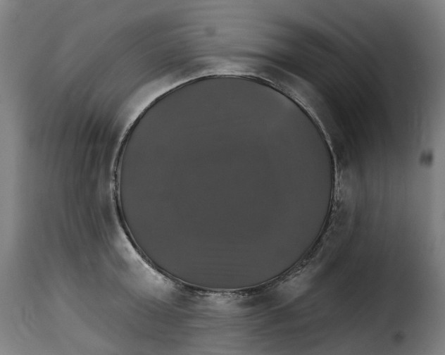 X0000115270803200911201727