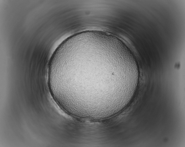 X0000115270804200911201727