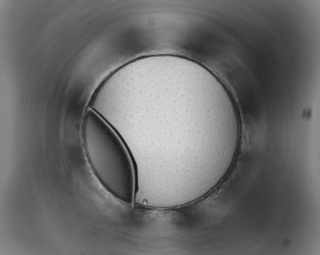 X0000115270805200911201727