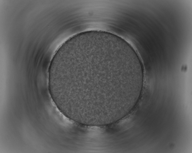 X0000115270807200911201727