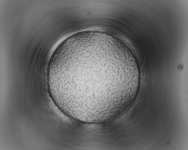 X0000115270808200911201727