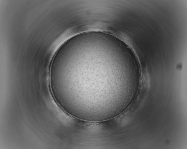 X0000115270811200911201727