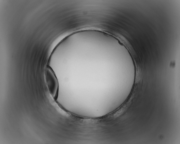 X0000115270812200911201727