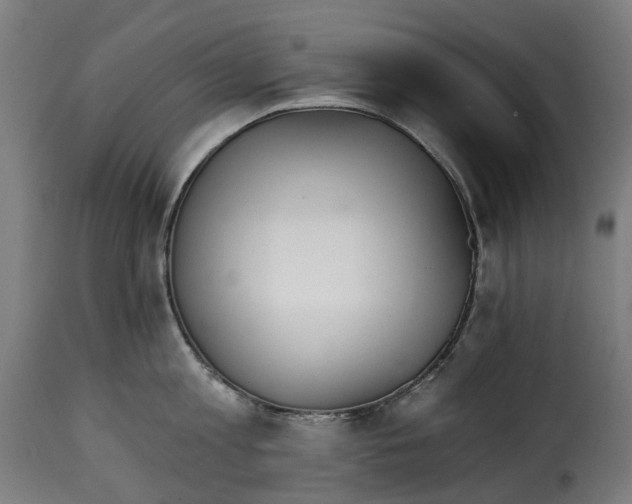 X0000115270813200911201727