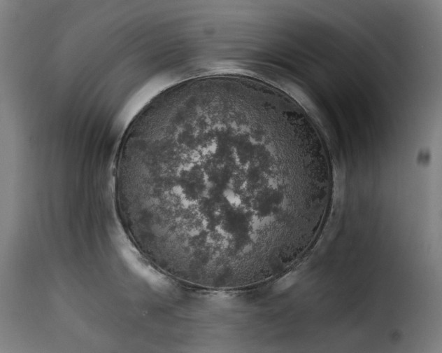 X0000115270814200911201727