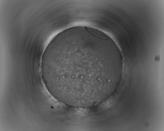 X0000115270815200911201727