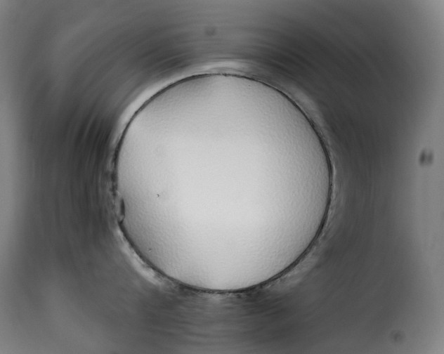 X0000115270816200911201727