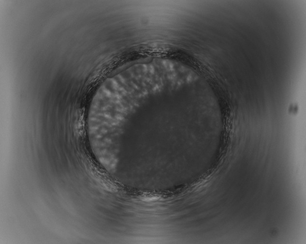 X0000115270818200911201726